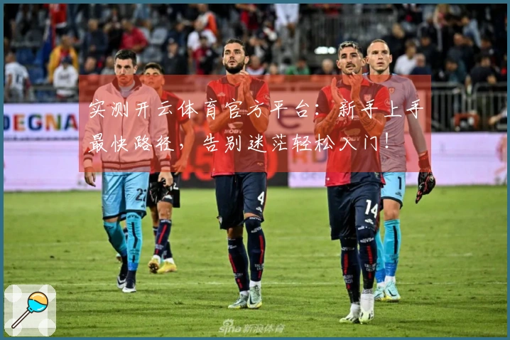 实测开云体育官方平台:新手上手最快路径,告别迷茫轻松入门!