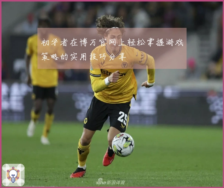初学者在博万官网上轻松掌握游戏策略的实用技巧分享